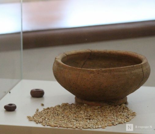 Бобры, костелы и закрытые музеи: плюсы и минусы отдыха в Белоруссии зимой - фото 16