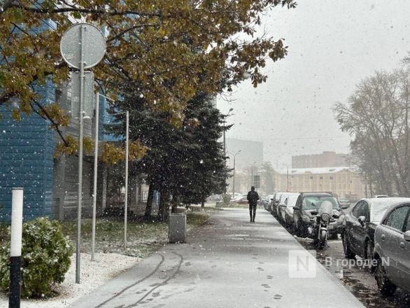 Такси за 2 000 рублей и обесточенные дома: снежная буря пришла в Нижегородскую область - фото 5