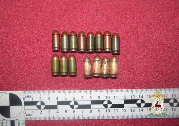 Нижегородец хранил дома переделанный пистолет и патроны - фото 3