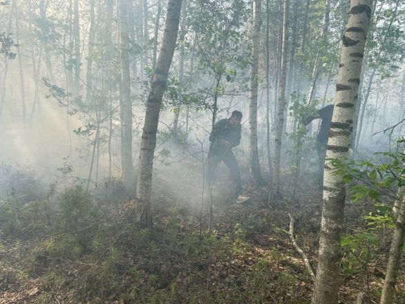 Режим повышенной готовности ввели из-за торфяного пожара в Балахнинском районе - фото 3