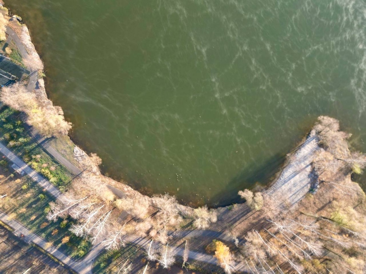 Озеро в Светлоярском парке Сормова очистили от мусора и камышей - фото 1