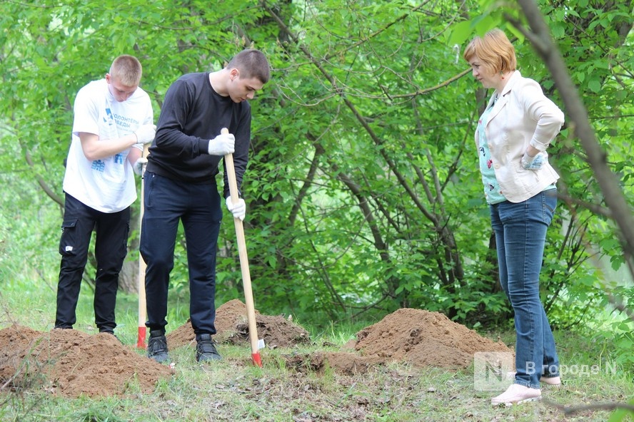 Создание экотропы за 400 тысяч рублей на нижегородской Левинке начнется летом - фото 2