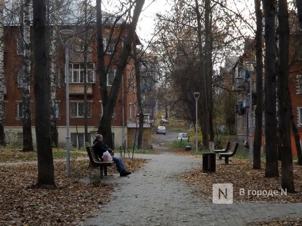 Живые изгороди и паркур-парк: как изменился Советский район - фото 15