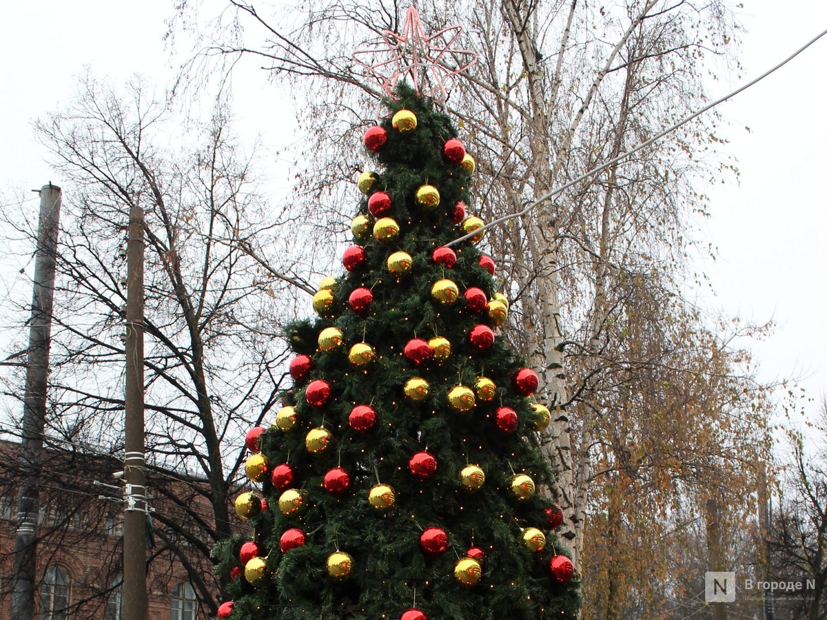 Более 70 новогодних елок появятся в Нижнем Новгороде в декабре - фото 1