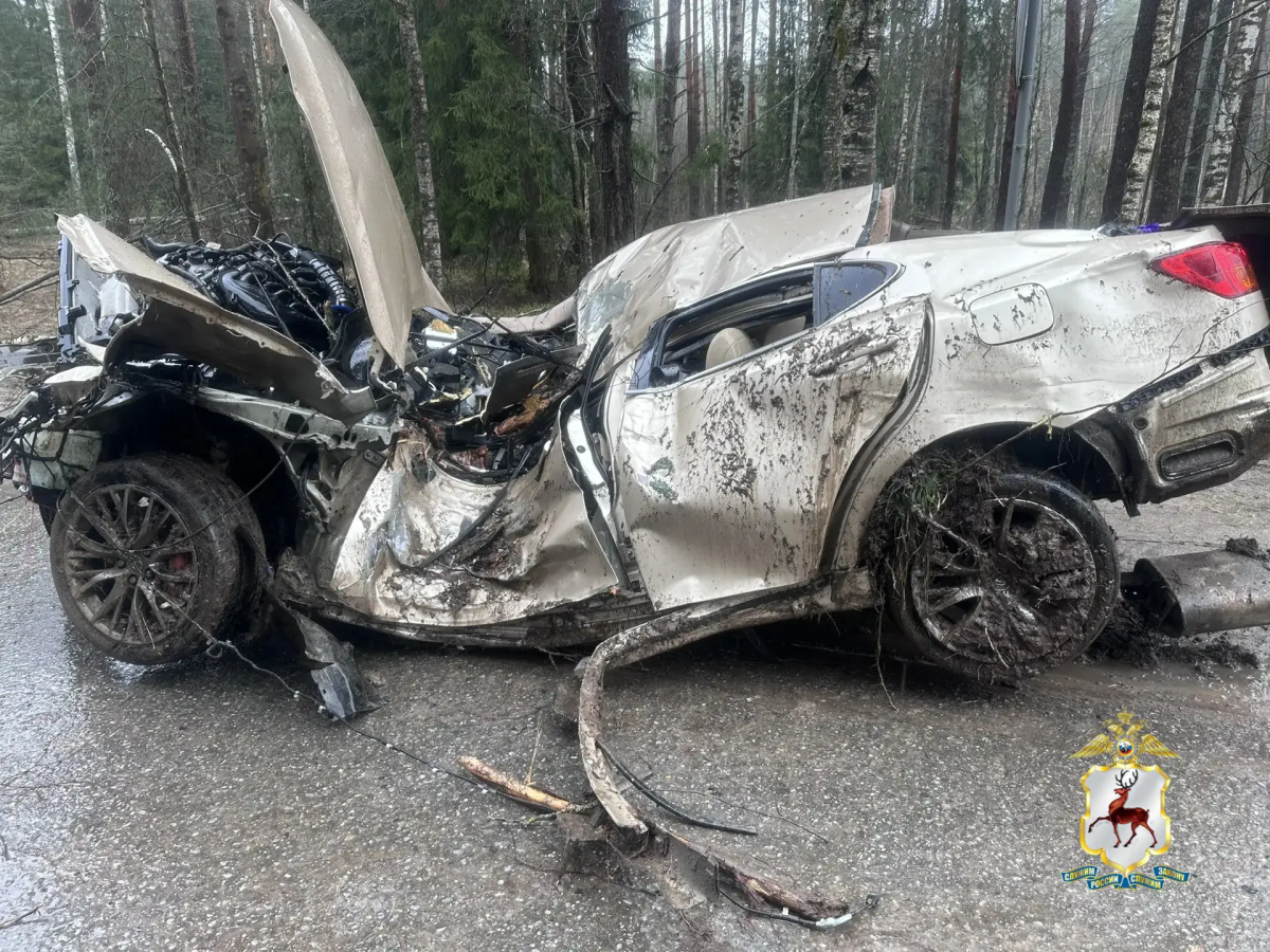Опубликованы фото с места ДТП в Нижегородской области, где погибли три человека - фото 2