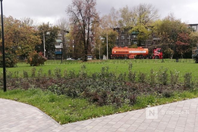 Качели-домики, воркауты и цветники: что изменилось в Ленинском районе - фото 18