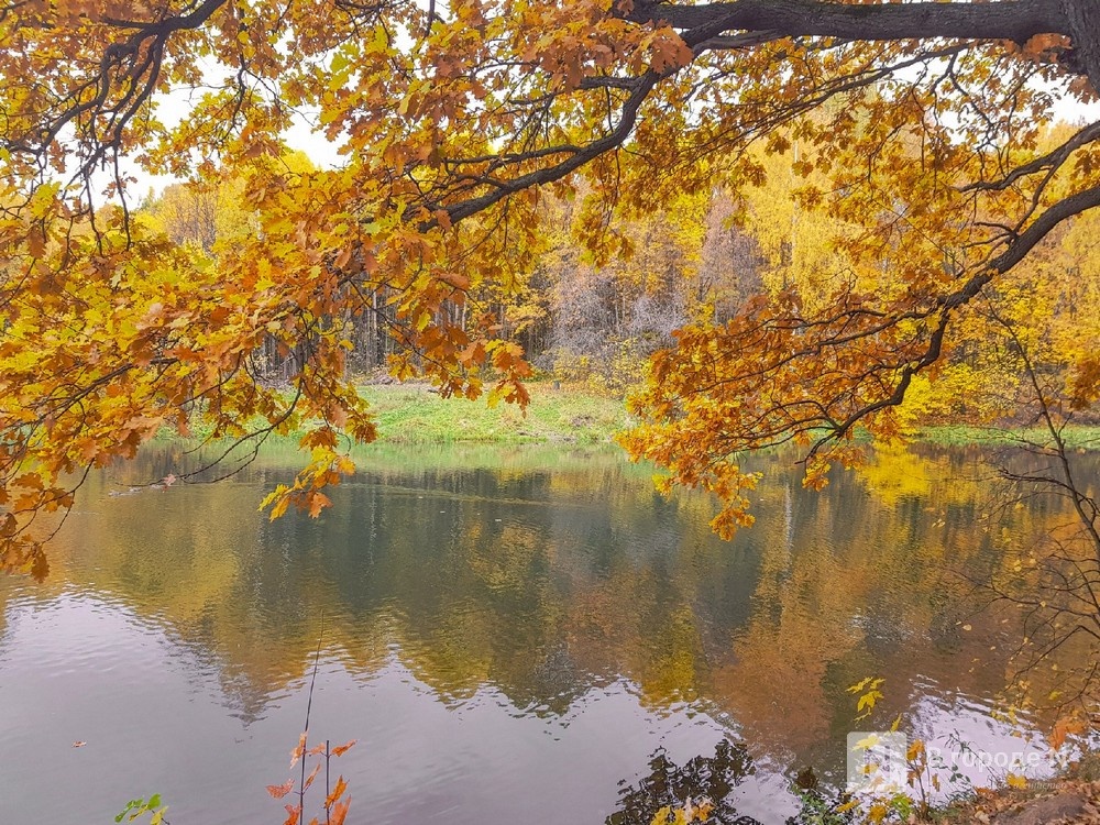 Нижегородцам напомнили о правилах безопасности на дорогах осенью - фото 1