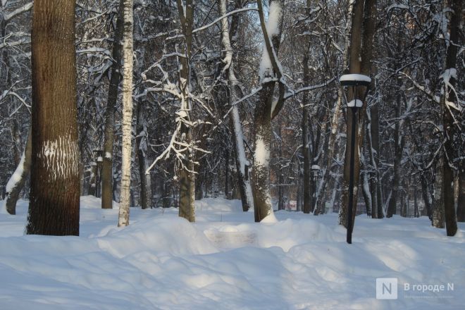 Долгий путь к преображению: как выглядит нижегородский парк Кулибина после благоустройства - фото 36