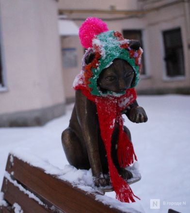 Бобры, костелы и закрытые музеи: плюсы и минусы отдыха в Белоруссии зимой - фото 30