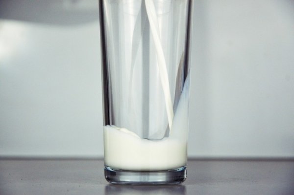 Молоко двух популярных брендов оказалось ненатуральным - фото 1