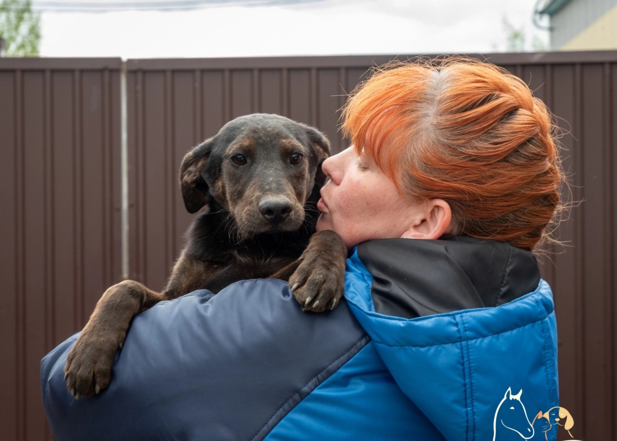 Щенкам из живодерни в Нижнем Новгороде начали искать новых хозяев - фото 1