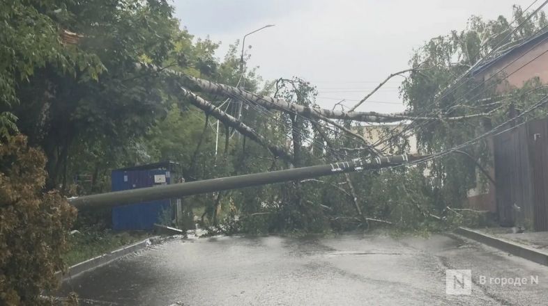 Опубликованы фото последствий мощного урагана в Нижнем Новгороде - фото 6