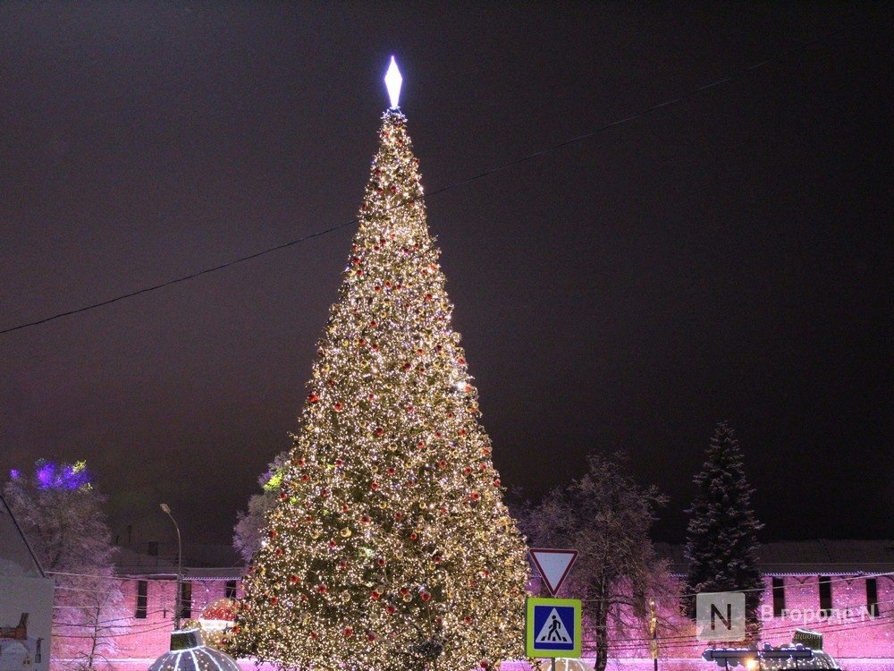 Нижний Новгород украсят к Новому году за 50 млн рублей - фото 1