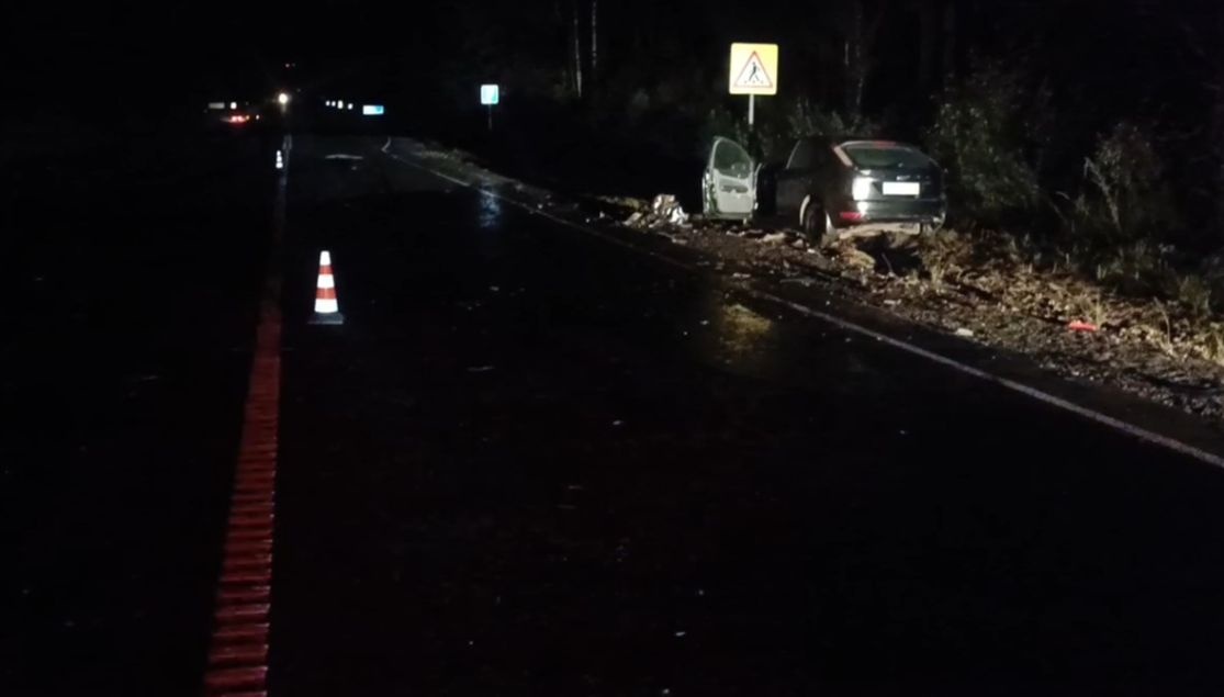 Два человека пострадали в ДТП с грузовиком в Нижегородской области - фото 1