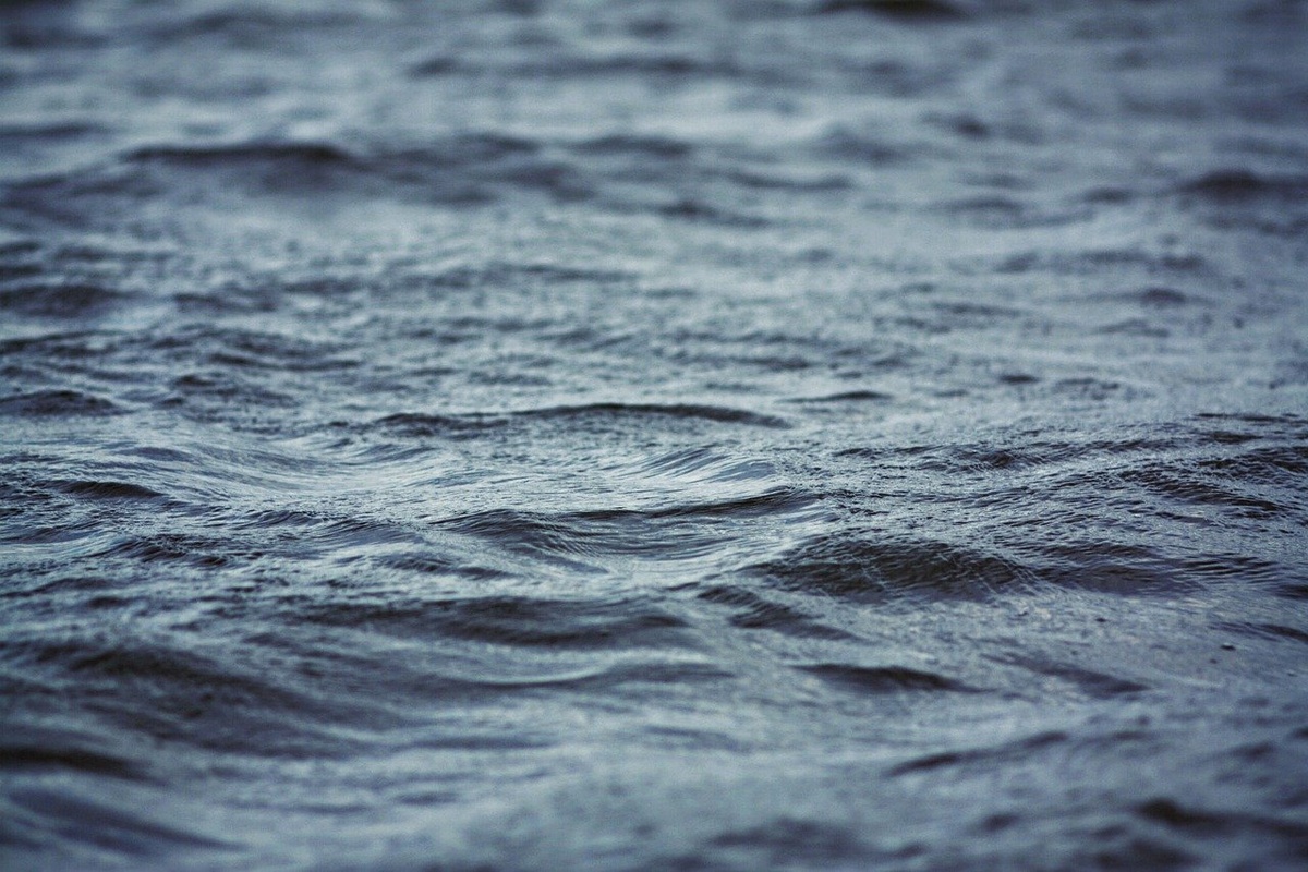 Мужчина утонул в озере в Сормовском парке - фото 1