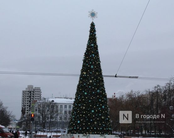 Новогоднюю елку установили на площади Горького в Нижнем Новгороде - фото 4