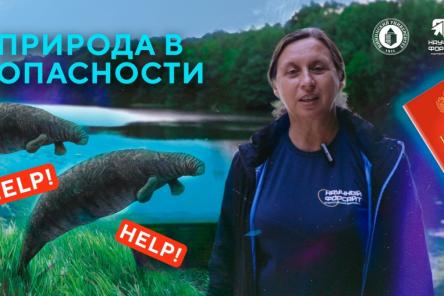 Ученый Мининского университета рассказала, какие растения и животные исчезли в Нижегородской области