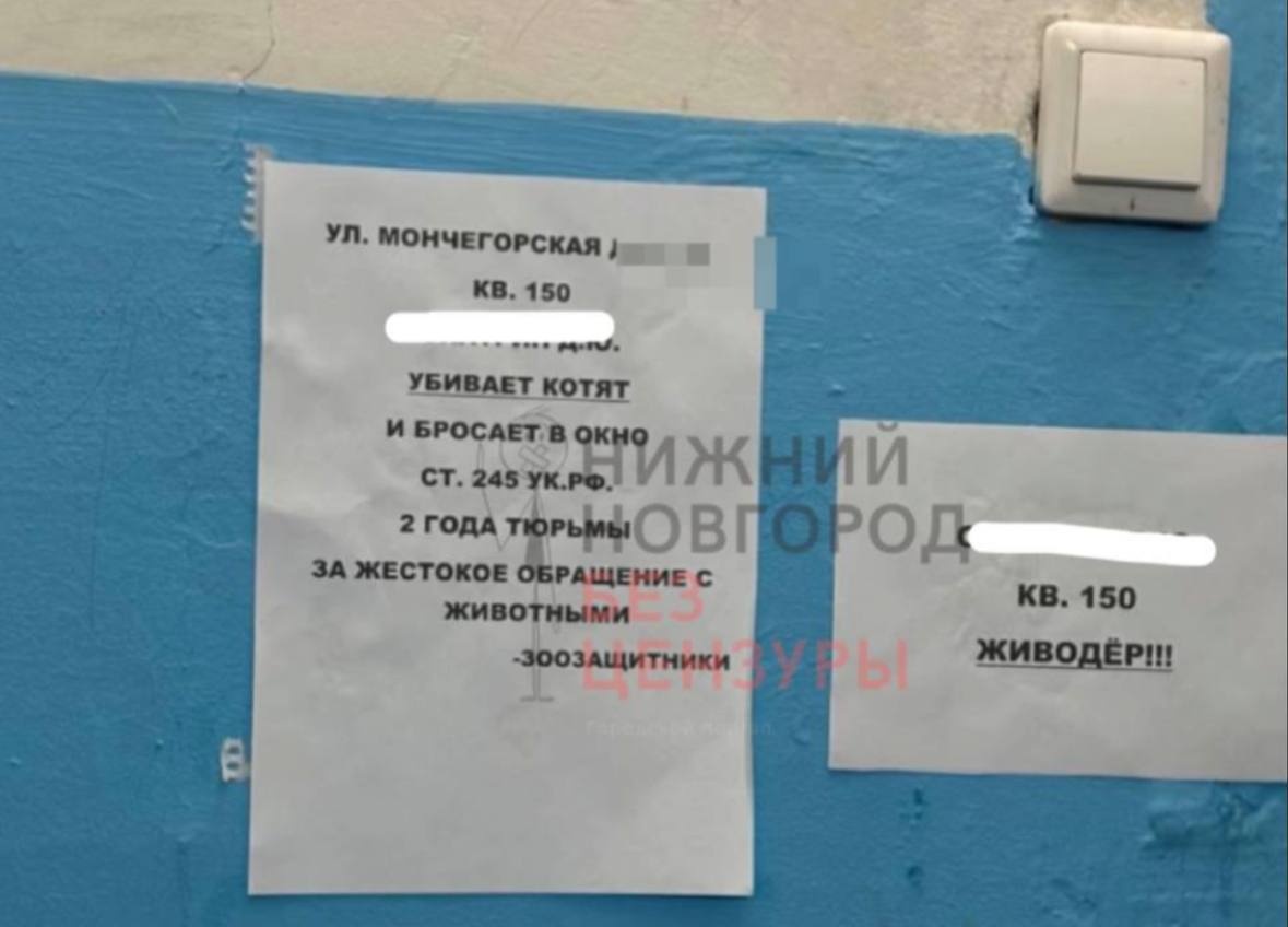Нижегородцы обвинили соседа по дому в издевательствах над животными - фото 1