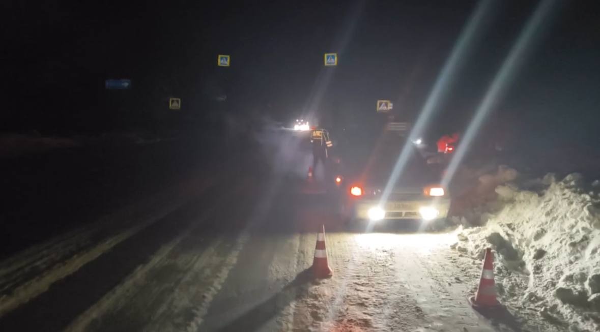 Легковушка сбила выходящую из автобуса женщину в Нижегородской области - фото 1