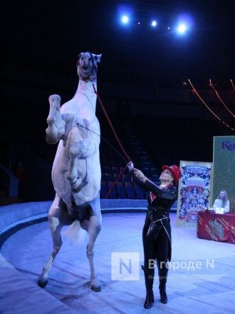 Возвращение &laquo;Бурлеска&raquo;: Нижегородский цирк открывается уникальным шоу Гии Эрадзе - фото 23