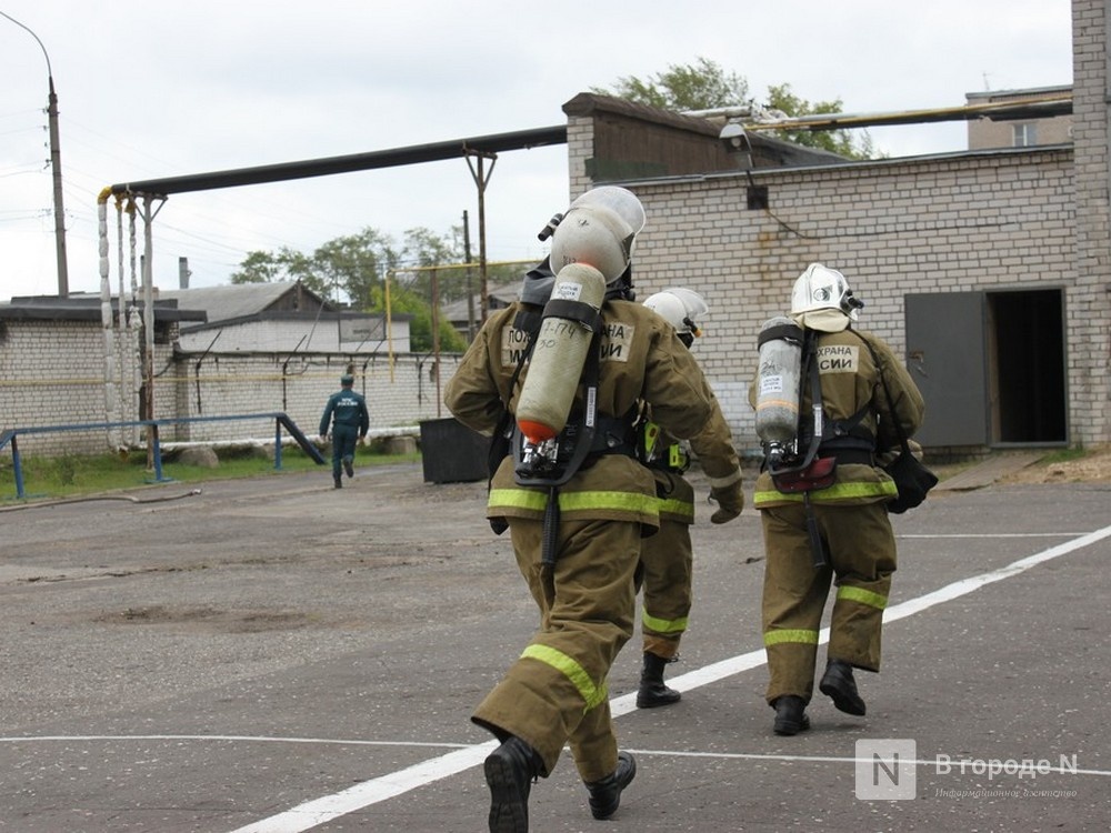Шесть пожаров произошло в Нижегородской области 28 июня - фото 1