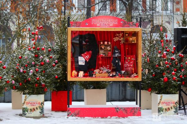 Пингвины, карусель и лунный каток: карта самых атмосферных новогодних локаций Нижнего Новгорода