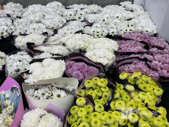 Мужчины, готовьтесь. Рассказываем, сколько стоят цветы к 8 марта в Нижнем Новгороде - фото 63