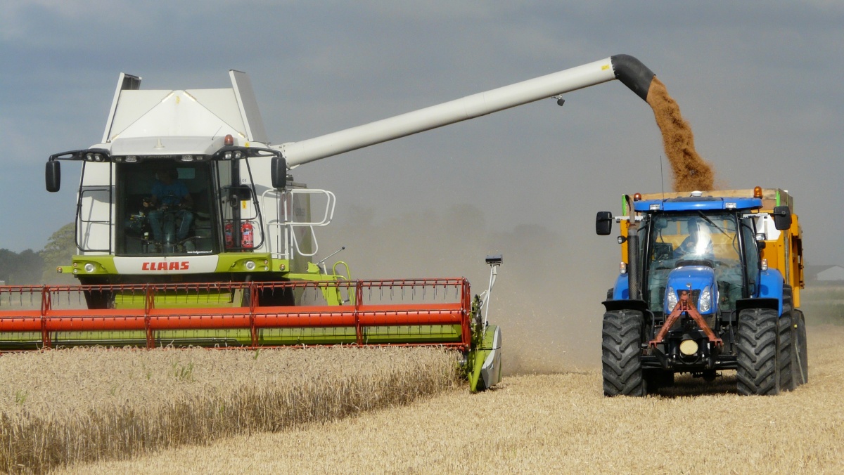 Свыше полумиллиона тонн зерна уже собрали нижегородские аграрии - фото 1