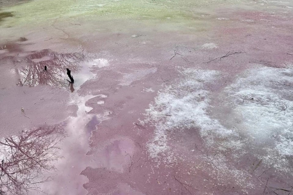 Минэкологии проверило розовый лед из озера в Дзержинске