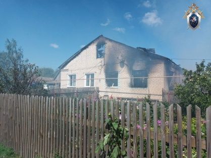 Следователи выясняют причины гибели жителя Большеболдинского района на пожаре - фото 1