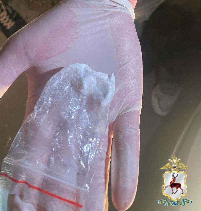 Директор нижегородской организации попался с наркотиками - фото 1