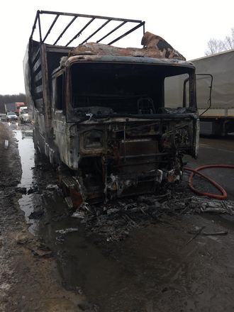 Половина грузовика сгорела на федеральной трассе в Кстовском районе - фото 2