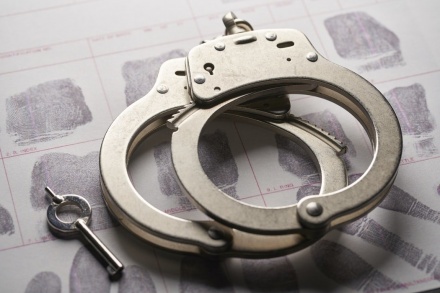 Нижегородца арестовали за перевозку и хранение полукилограмма марихуаны