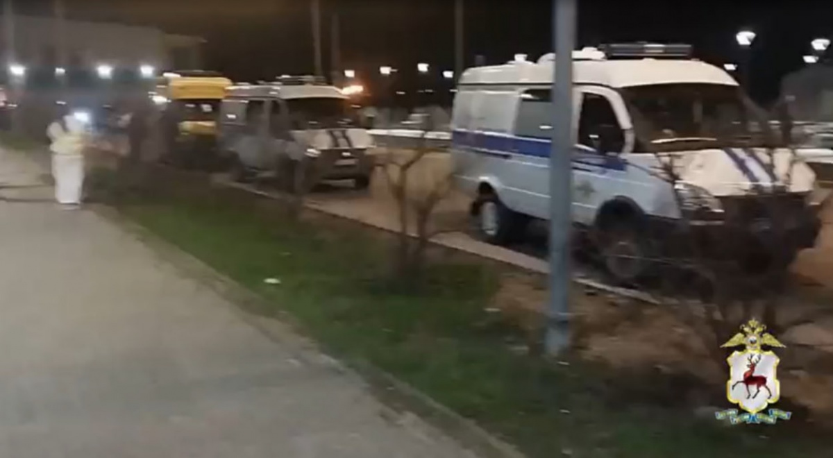 Появились подробности убийства подростка в Нижегородской области - фото 1