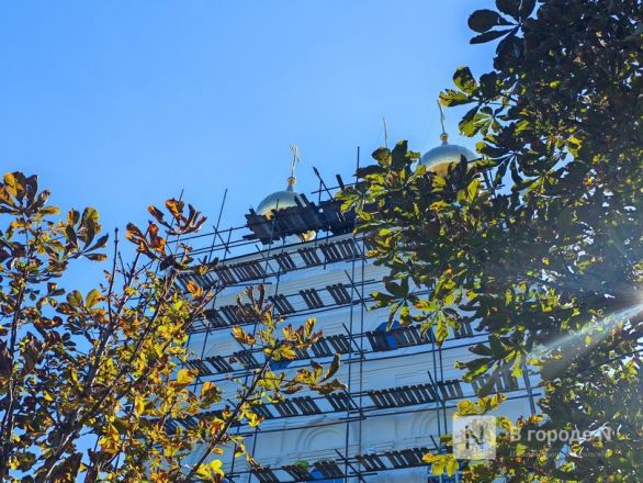 Город кузнецов и автобусов: что посмотреть в Павлове за день &mdash; фоторепортаж - фото 57