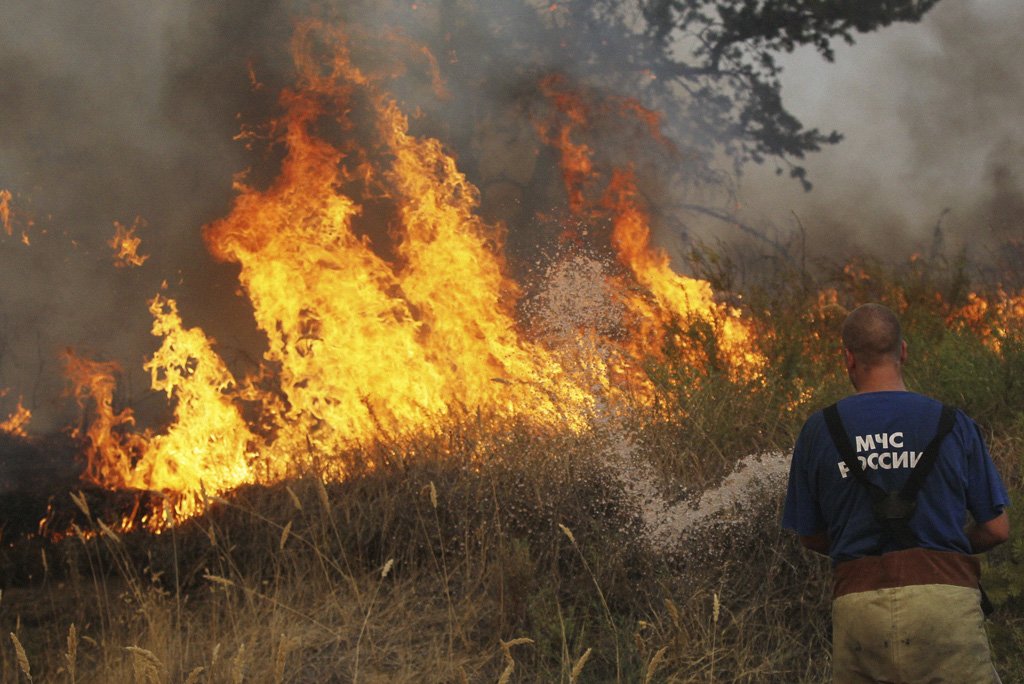 В семи районах Нижегородской области сложился пятый класс опасности возгорания лесов - фото 1