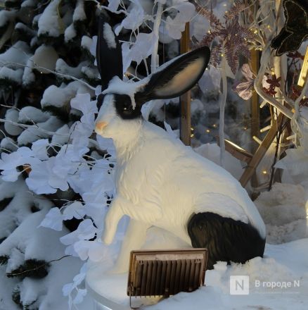 Новогодняя фотозона с кроликами появилась в Нижнем Новгороде - фото 3