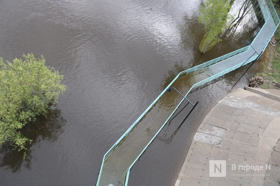 Опасные инфекции угрожают нижегородцам во время паводка - фото 1