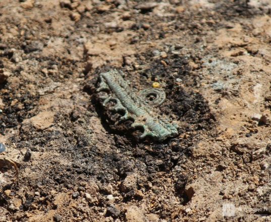 Опубликованы фото с места археологических раскопок под Вачей - фото 7