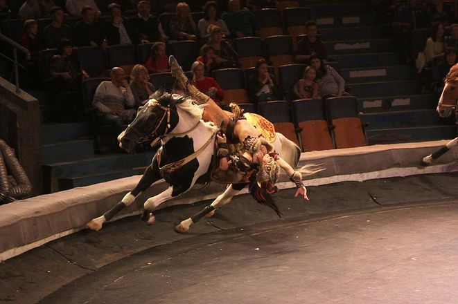 Леопарды под куполом цирка: премьера шоу &laquo;Баронеты&raquo; (ФОТО) - фото 66