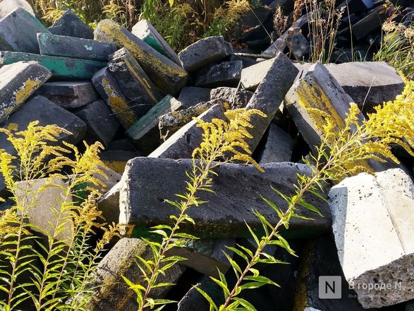 Свалку из гранита и бетона обнаружил нижегородец на берегу Шуваловского канала - фото 5