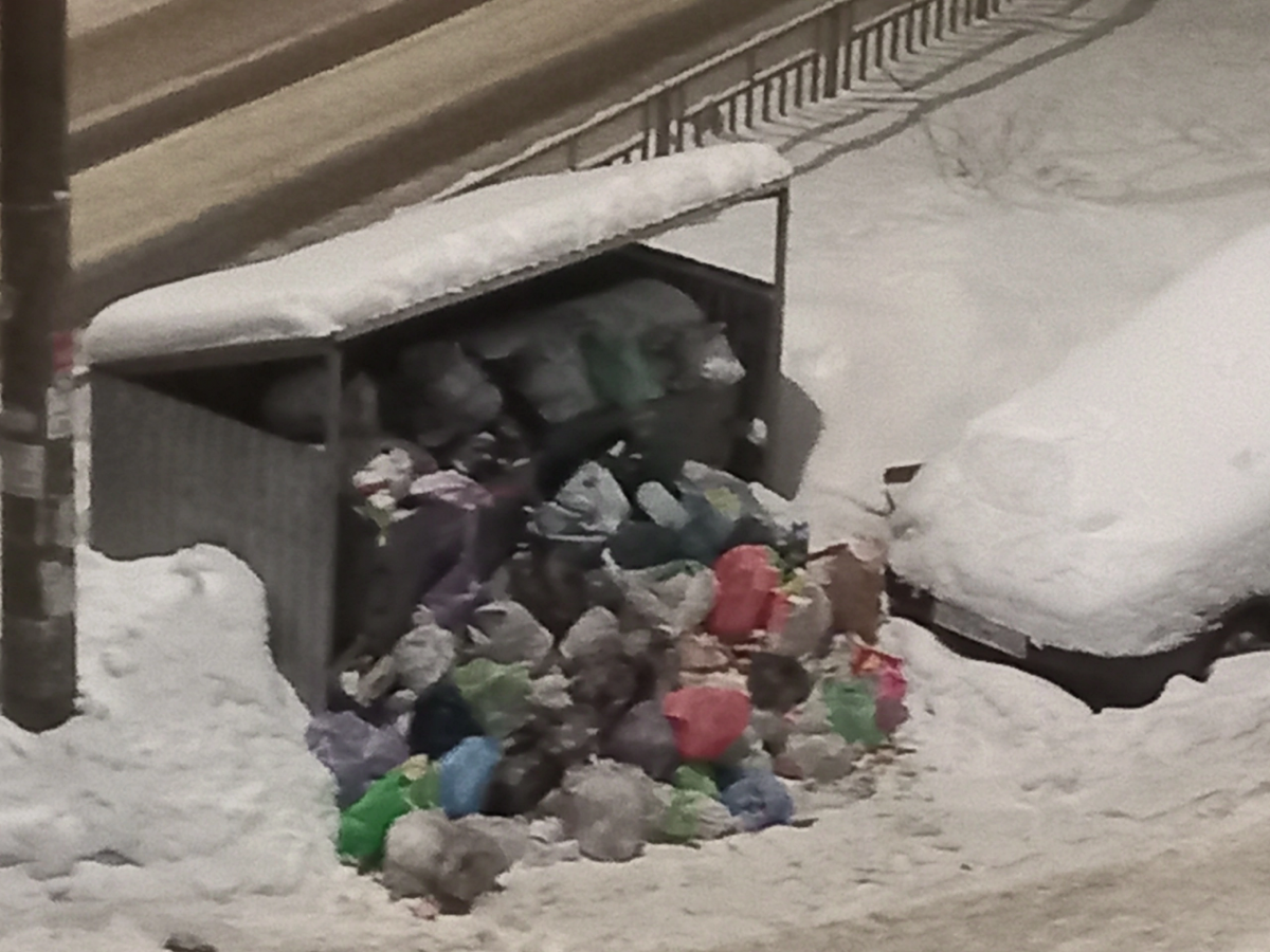 Нижегородцы массово сообщают о &laquo;мусорном коллапсе&raquo; на улицах  - фото 3