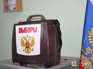 Председателем избиркома Нижегородской области стала Маргарита Красилевская