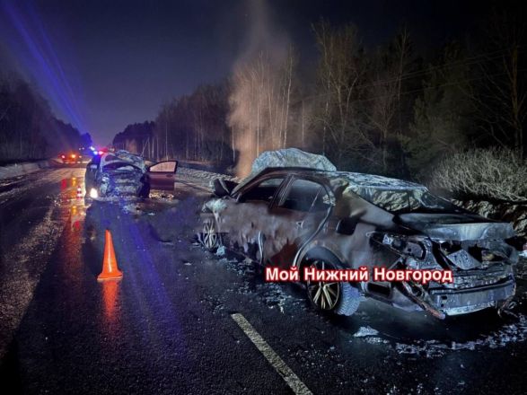 Иномарки загорелись после лобового столкновения в Нижегородской области - фото 5