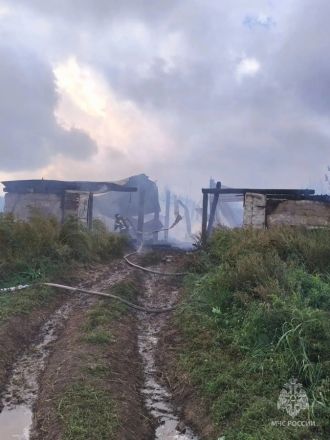 Опубликованы фото с места пожара на ферме в Большеболдинском округе - фото 2