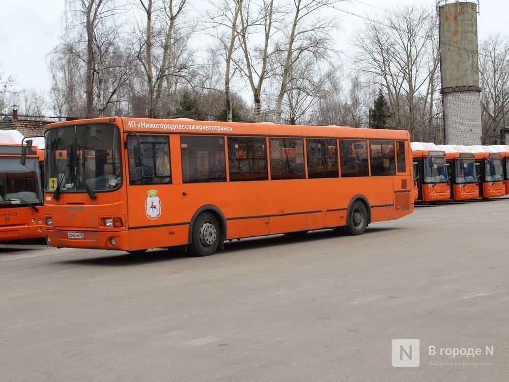 Пассажирские предприятия Нижегородской области освободят от транспортного налога - фото 1