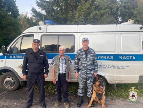 Пожилой грибник больше суток блуждал по лесу в Нижегородской области - фото 1