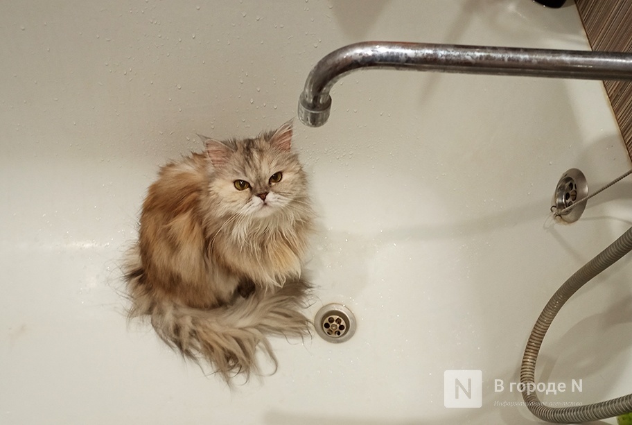 Свет или горячую воду отключат в пяти домах в Нижнем Новгороде 15 августа