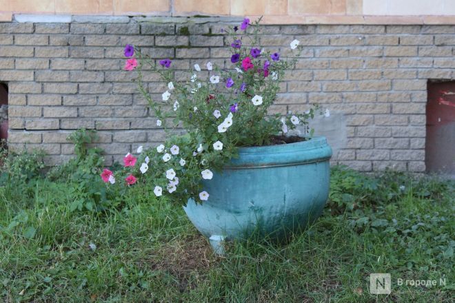 Фоторепортаж: как выглядит и чем восхищает Соцгород в Нижнем Новгороде - фото 93