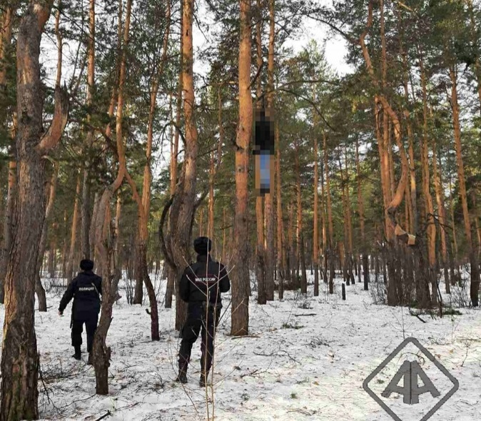 Соцсети: труп мужчины на дереве обнаружен в Дзержинске - фото 1